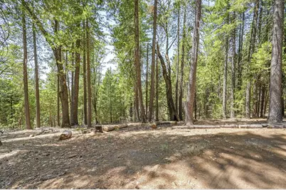 7470 Lion Alley #3, Georgetown, CA 95634 - Photo 47