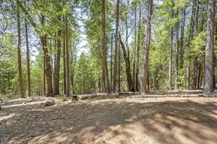 7470 Lion Alley, Georgetown, CA 95634 - Photo 47