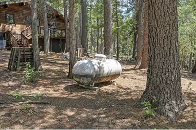 7470 Lion Alley #3, Georgetown, CA 95634 - Photo 41