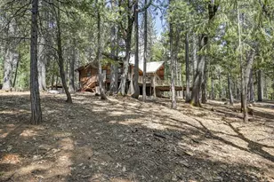 7470 Lion Alley, Georgetown, CA 95634 - Photo 45