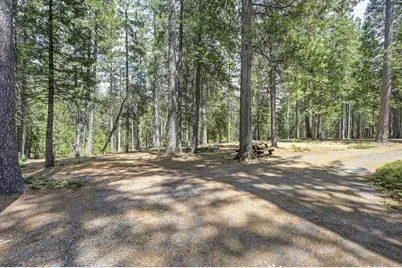 7470 Lion Alley #3, Georgetown, CA 95634 - Photo 7