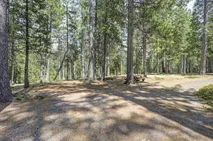 7470 Lion Alley, Georgetown, CA 95634 - Photo 7