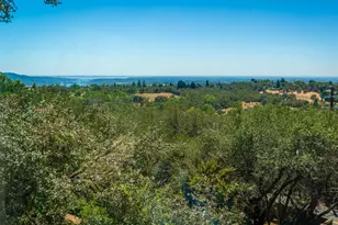 11005 Annmarie Ct, Auburn, CA 95603 - Photo 41