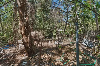 7520 Lohse Way, Citrus Heights, CA 95610 - Photo 13