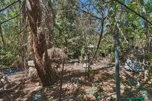 7520 Lohse Way, Citrus Heights, CA 95610 - Photo 13