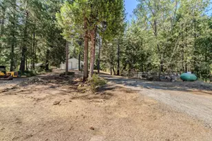 15736 Armstrong Rd, Sheep Ranch, CA 95246 - Photo 53