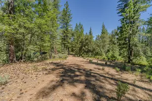 15736 Armstrong Rd, Sheep Ranch, CA 95246 - Photo 81