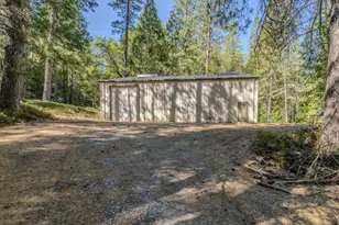 15736 Armstrong Rd, Sheep Ranch, CA 95246 - Photo 59