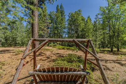 15736 Armstrong Road, Sheep Ranch, CA 95246 - Photo 99