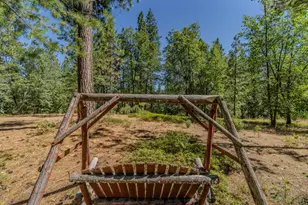 15736 Armstrong Rd, Sheep Ranch, CA 95246 - Photo 99
