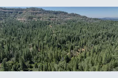 15736 Armstrong Road, Sheep Ranch, CA 95246 - Photo 97