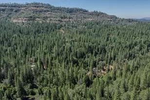 15736 Armstrong Rd, Sheep Ranch, CA 95246 - Photo 97