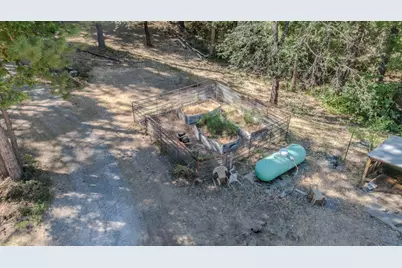 15736 Armstrong Road, Sheep Ranch, CA 95246 - Photo 91