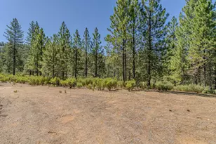 15736 Armstrong Rd, Sheep Ranch, CA 95246 - Photo 83