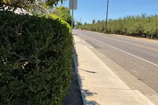 303 Plainsburg Rd, Planada, CA 95365 - Photo 21