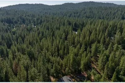 3003 Black Bear Drive, Arnold, CA 95223 - Photo 9