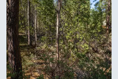 3003 Black Bear Drive, Arnold, CA 95223 - Photo 19