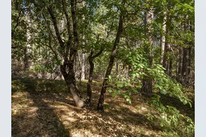 3003 Black Bear Drive, Arnold, CA 95223 - Photo 11
