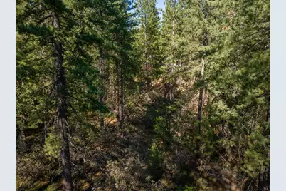 3003 Black Bear Drive, Arnold, CA 95223 - Photo 17