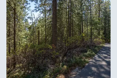 3003 Black Bear Drive, Arnold, CA 95223 - Photo 5