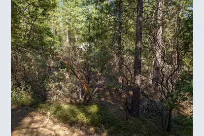 3003 Black Bear Drive, Arnold, CA 95223 - Photo 13