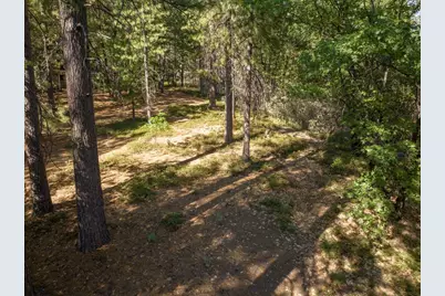 3003 Black Bear Drive, Arnold, CA 95223 - Photo 3