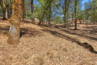 3520 Mining Brook Road, Placerville, CA 95667 - Photo 43