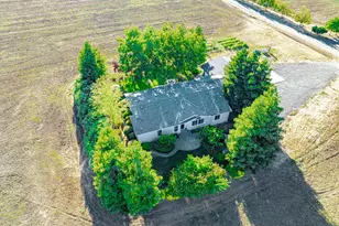 24540 Co Rd 95, Davis, CA 95616 - Photo 45