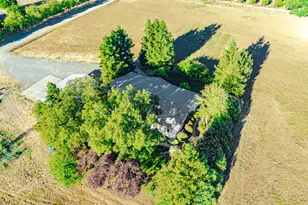 24540 Co Rd 95, Davis, CA 95616 - Photo 43