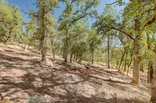 8226 McGanney, Smartsville, CA 95977 - Photo 73