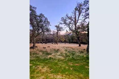 8226 McGanney, Smartsville, CA 95977 - Photo 93