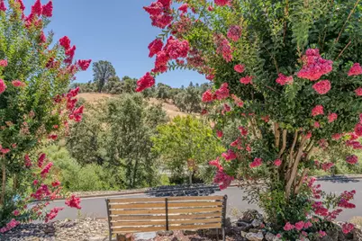 Rollingwood Drive #197, Jackson, CA 95642 - Photo 39