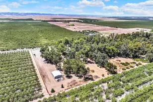 8357 County Rd 91B, Zamora, CA 95698 - Photo 77