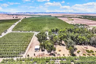 8357 County Rd 91B, Zamora, CA 95698 - Photo 5
