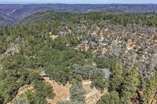 5271 Caprine Rd, Greenwood, CA 95635 - Photo 45