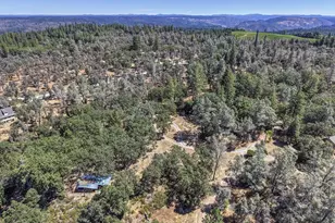 5271 Caprine Rd, Greenwood, CA 95635 - Photo 43