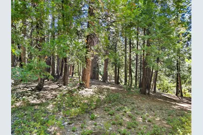 1544 Topanga Lane, Dorrington, CA 95223 - Photo 5