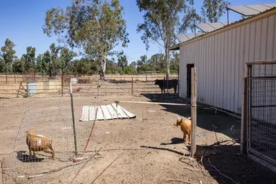 24411 N Jack Tone Road, Acampo, CA 95220 - Photo 7