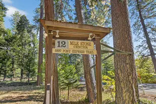 5897 Pony Express Trail, Pollock Pines, CA 95726 - Photo 37