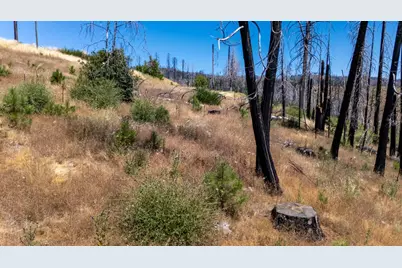 7191 Winding Way, Grizzly Flats, CA 95636 - Photo 11