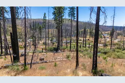 7191 Winding Way, Grizzly Flats, CA 95636 - Photo 5