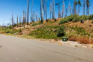 7191 Winding Way, Grizzly Flats, CA 95636 - Photo 1