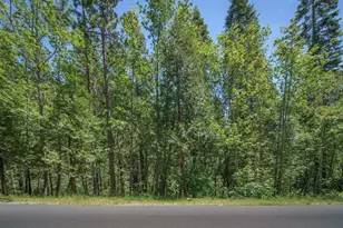 1172 Spring Valley Way, Arnold, CA 95223 - Photo 1