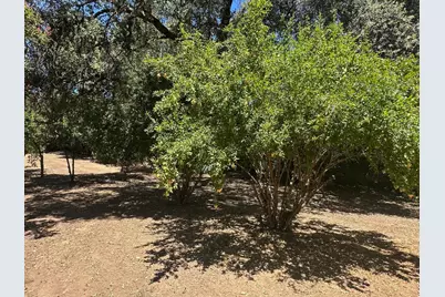 4151 Bonanza Way, Loomis, CA 95650 - Photo 33