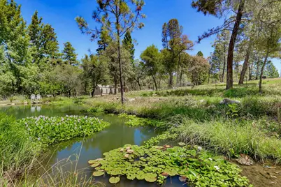 10411 Rough and Ready Road, Rough and Ready, CA 95975 - Photo 63