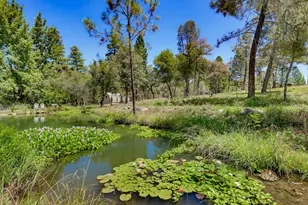10411 Rough and Ready Rd, Rough and Ready, CA 95975 - Photo 63