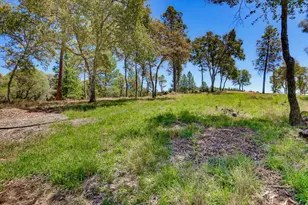 10411 Rough and Ready Rd, Rough and Ready, CA 95975 - Photo 81
