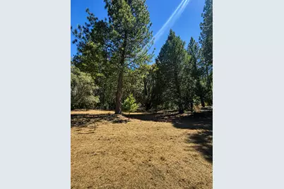 4701 Vogelsang Lane, Placerville, CA 95667 - Photo 13