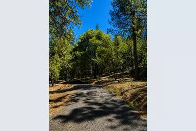 4701 Vogelsang Lane, Placerville, CA 95667 - Photo 3