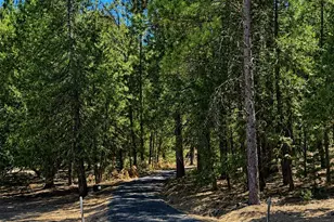 4701 Vogelsang Ln, Placerville, CA 95667 - Photo 1